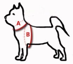 Dingo Reflex Szelki Odblaskowe Step-In Dla Psa Czerwone Rozmiar 50