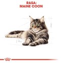 ROYAL CANIN Maine Coon Adult 10kg