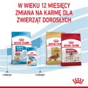 ROYAL CANIN Medium Puppy 4kg