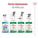 ROYAL CANIN Mini Adult 8kg