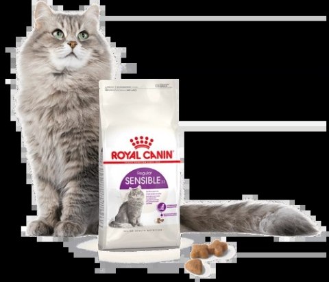 ROYAL CANIN Sensible 33 400g