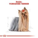 ROYAL CANIN Yorkshire Terrier Adult 500g