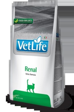 Farmina Vet Life Feline Renal 2kg