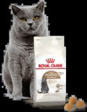 ROYAL CANIN Ageing Sterilised +12 4kg