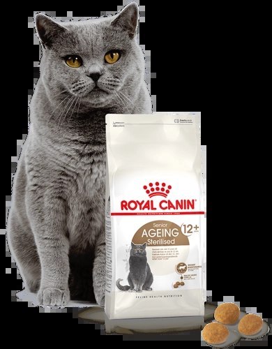 ROYAL CANIN Ageing Sterilised +12 4kg