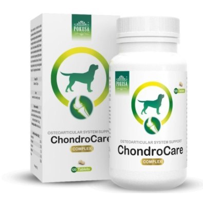 POKUSA ChondroLine ChondroCare 120 tab.