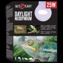 REPTI PLANET Żarówka Daylight Neodymium 25W