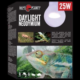 REPTI PLANET Żarówka Daylight Neodymium 25W