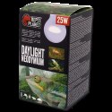 REPTI PLANET Żarówka Daylight Neodymium 25W