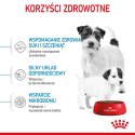 ROYAL CANIN Mini Starter Mother & Babydog 8kg