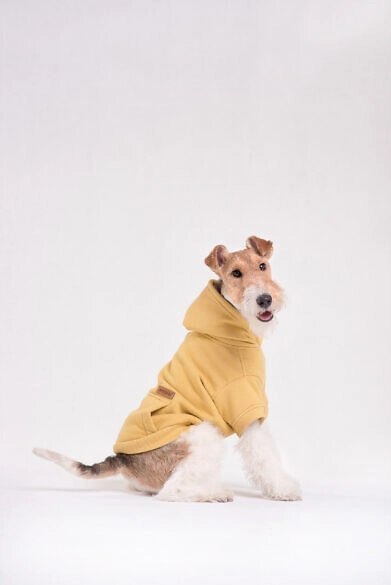 AMIPLAY Bluza Z Kapturem Texas Czerwona 25cm