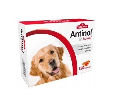 BIOVICO ANTINOL SIZAROL PIES 120 tabletek NA STAWY