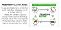FRONTLINE Combo Spot-On Dla Psów 3x4,02ml