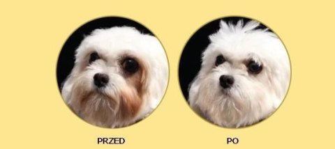 Nature's Protection Superior Care White Dogs Adult Small Breeds With Lamb 10kg