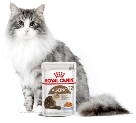 ROYAL CANIN Ageing +12 Gelee 12x85g