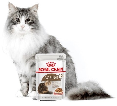 ROYAL CANIN Ageing +12 Sauce 12x85g