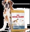 ROYAL CANIN Boxer Adult 12kg
