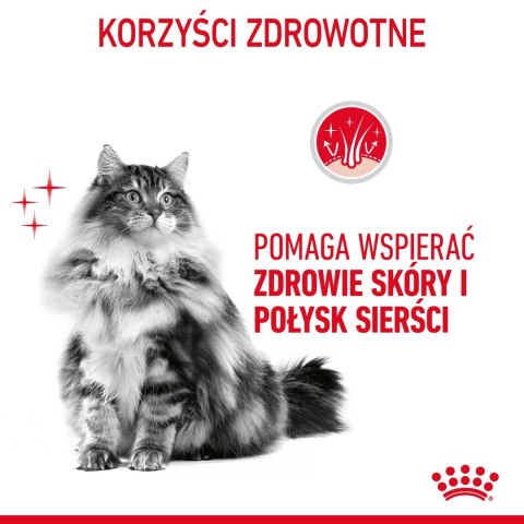 ROYAL CANIN Intense Beauty Gravy 12x85g
