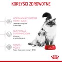 ROYAL CANIN Mother & Babycat 2kg