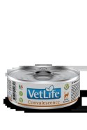 Farmina Vet Life Feline Convalescence 85g