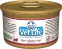 Farmina Vet Life Feline Gastrointestinal 85g