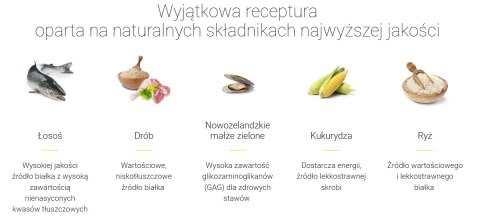 Josera Festival 900g