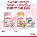 ROYAL CANIN Kitten Instinctive W Sosie 12x85g