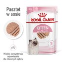 ROYAL CANIN Kitten Pasztet 12x85g