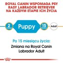 ROYAL CANIN Labrador Retriever Puppy 12kg