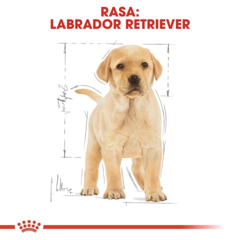 ROYAL CANIN Labrador Retriever Puppy 12kg