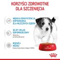 ROYAL CANIN Mini Puppy 12x85g