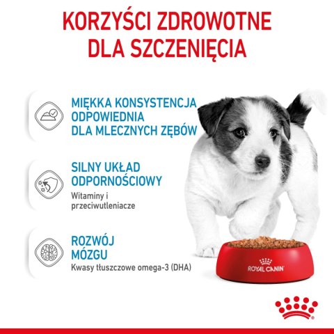 ROYAL CANIN Mini Puppy 12x85g