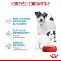 ROYAL CANIN Starter Mousse Mother & Babydog 195g