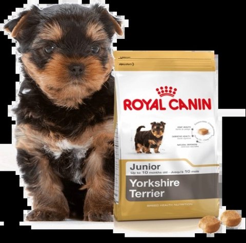 ROYAL CANIN Yorkshire Terrier Puppy 1,5kg