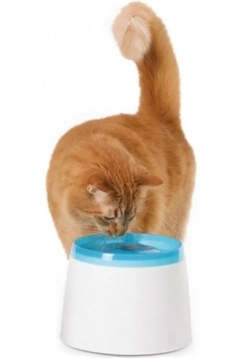 CATIT Small Fresh Clear Water Fontanna Dla Kotów 2l