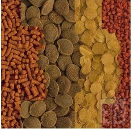 Tetra Crusta Menu 100ml