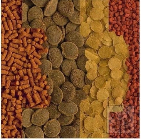 Tetra Crusta Menu 100ml