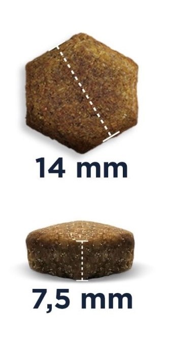 Eukanuba Daily Care Overweight Adult Dog 12kg