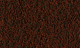 Tetra Cichlid Algae Mini 500ml