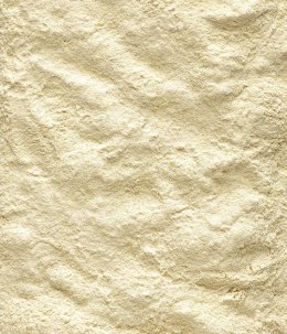 Versele-Laga NutriBird A21 Pokarm Do Ręcznego Karmienia Piskląt 3kg