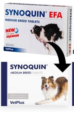 VetPlus Synoquin Efa Medium Breed 30tab