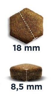 Eukanuba Adult Rottweiler 12kg