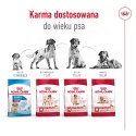 ROYAL CANIN Medium Ageing 10+ 15kg