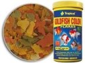 Tropical Goldfish Color 250ml