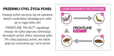 FRONTLINE Tri-Act Dla Psów 3x2ml