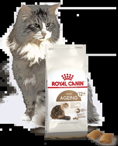 ROYAL CANIN Ageing +12 400g