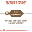 ROYAL CANIN Ageing +12 400g