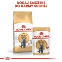 ROYAL CANIN British Shorthair Adult 2kg