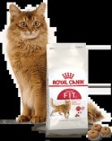 ROYAL CANIN Fit 32 10kg