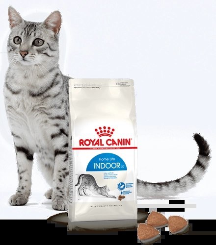 ROYAL CANIN Indoor 27 4kg